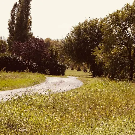 La Casa Nel Gelso Appartamento *